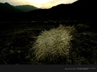 dailyPhoto36